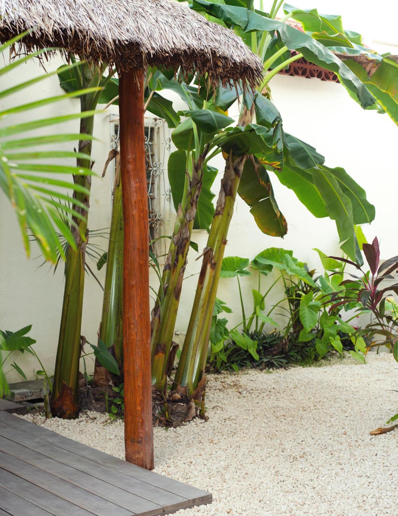 Hotel Stella Maris Tulum Bagian luar foto